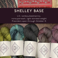 Load image into Gallery viewer, PREORDERS - Shelley Base (Nonsuperwash U.S. Merino/Rambouillet, Light Worsted Weight)
