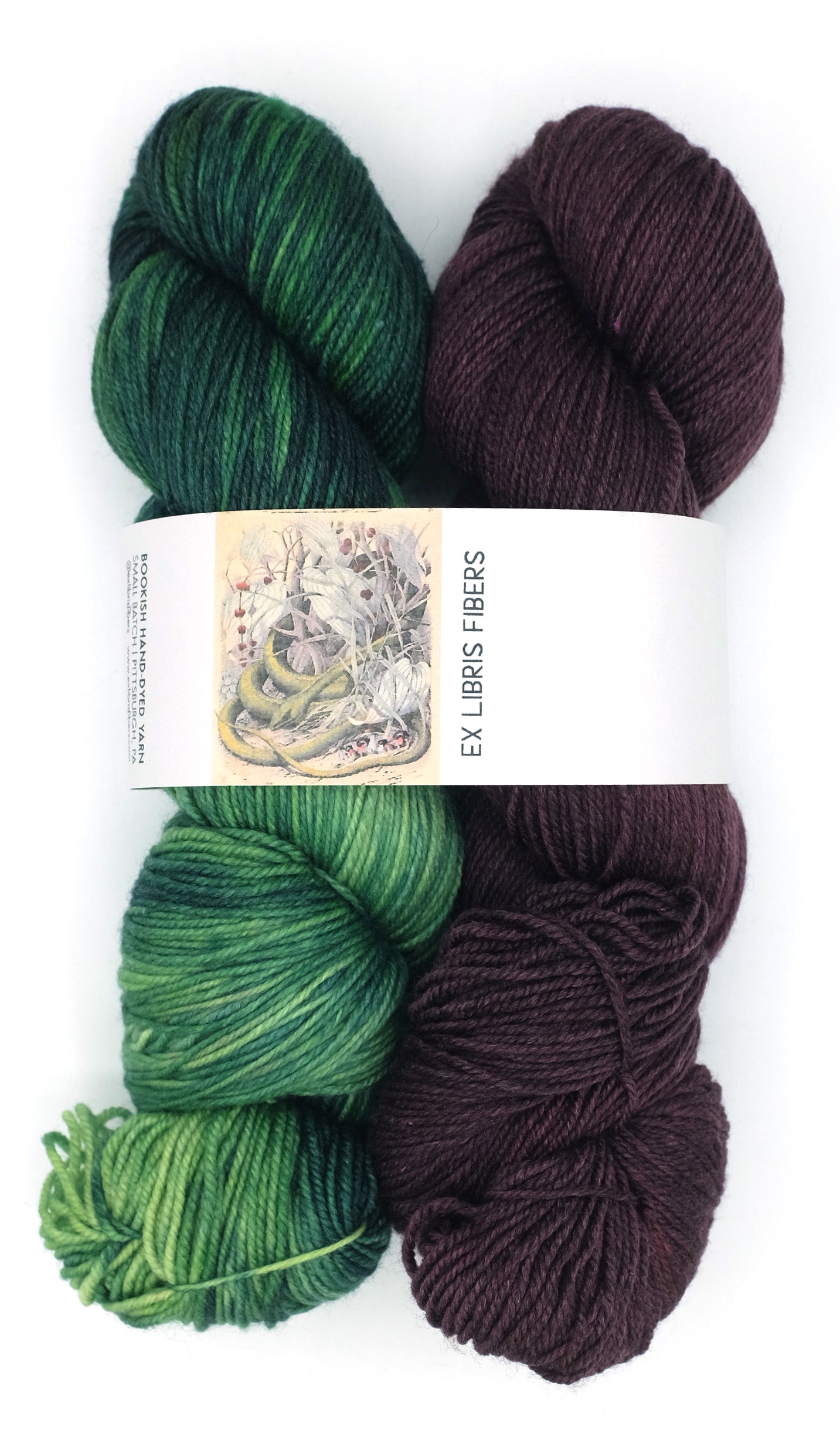 Mexican Gothic Cursed is Cursed Set -- Joyce Base (Sock)