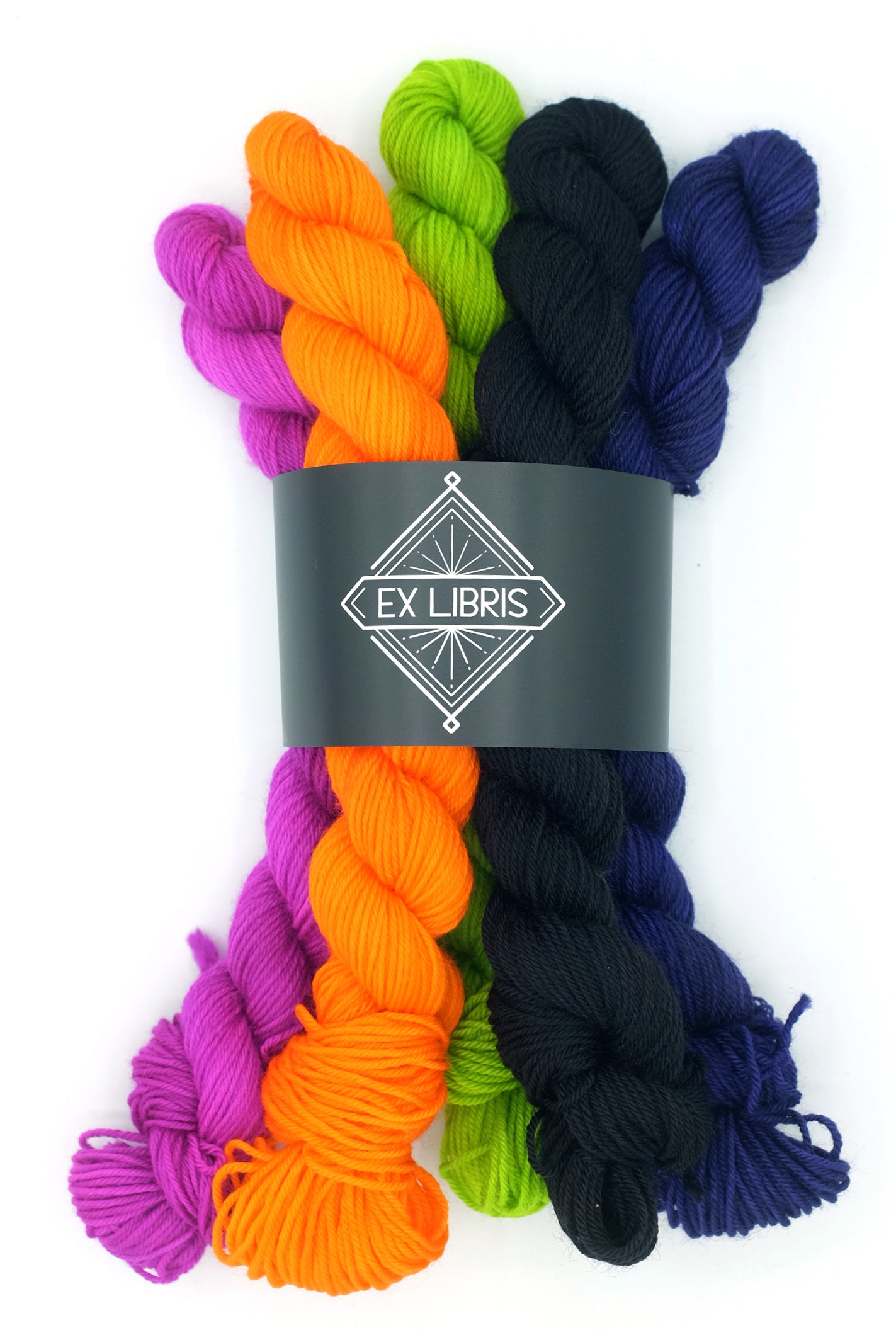 It Came From The Library! - Mini Skein Set - Solnit (Sock)